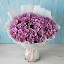 Букет цветов из:  Хризантемы в Североуральске