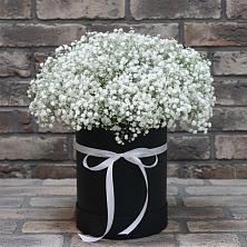 Цветочная композиция из Гипсофила в шляпной коробке в Североуральске
